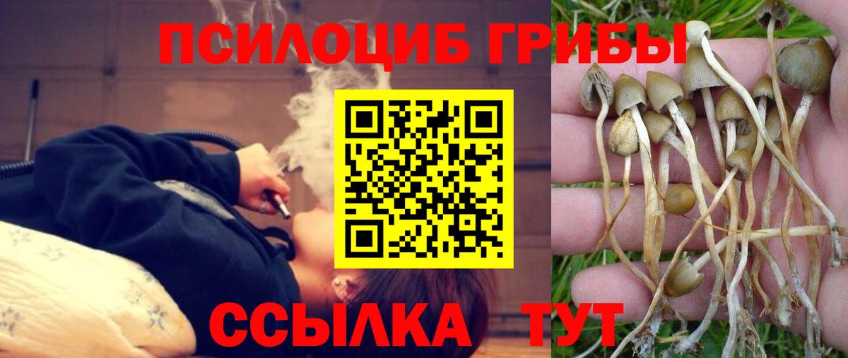 Псилоцибиновые грибы мухоморы  Вход с VPN  Кызыл 